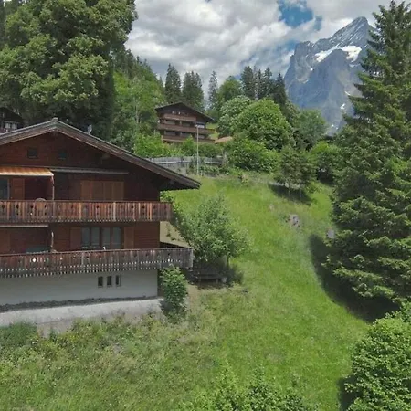 Daire Chalet Amsel *
